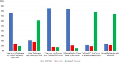 Determinants of experience & satisfaction in telehealth psychiatry during the COVID-19 pandemic for patients & providers